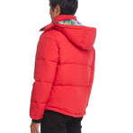 Artwear Puffer // Red (XS)