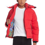 Artwear Puffer // Red (XS)