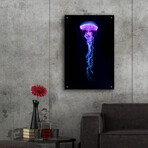 Medusa by Epic Portfolio (16"H x 12"W x 0.13"D)