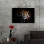 Sleepy Leopard by Epic Portfolio (12"H x 16"W x 0.13"D)