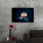 Peachy Jellyfish by Epic Portfolio (12"H x 16"W x 0.13"D)