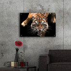 Nice Kitty by Epic Portfolio (12"H x 16"W x 0.13"D)