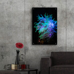 Actinia by Epic Portfolio (16"H x 12"W x 0.13"D)