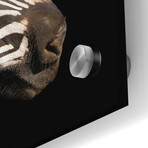 Zebra by Epic Portfolio (12"H x 12"W x 0.13"D)