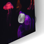 Jelly Fish World by Epic Portfolio (12"H x 16"W x 0.13"D)