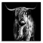 Hippy Highland Cow by Epic Portfolio (12"H x 12"W x 0.13"D)