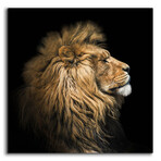 The King Of The Jungle by Epic Portfolio (12"H x 12"W x 0.13"D)