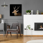 Sika Deer by Epic Portfolio (12"H x 12"W x 0.13"D)