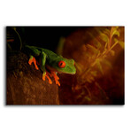 Froggy by Epic Portfolio (12"H x 16"W x 0.13"D)