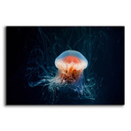 Peachy Jellyfish by Epic Portfolio (12"H x 16"W x 0.13"D)