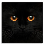 Hunter by Epic Portfolio (12"H x 12"W x 0.13"D)