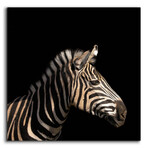 Zebra by Epic Portfolio (12"H x 12"W x 0.13"D)