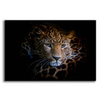 Sleepy Leopard by Epic Portfolio (12"H x 16"W x 0.13"D)