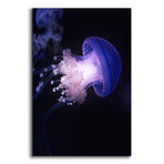 Underwater Mushroom by Epic Portfolio (16"H x 12"W x 0.13"D)