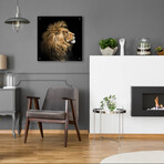 The King Of The Jungle by Epic Portfolio (12"H x 12"W x 0.13"D)