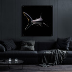 Jaws by Epic Portfolio (12"H x 12"W x 0.13"D)