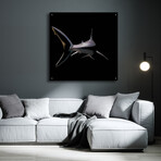 Jaws by Epic Portfolio (12"H x 12"W x 0.13"D)