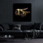 Fuzzy Buzzy by Epic Portfolio (12"H x 12"W x 0.13"D)