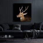 Sika Deer by Epic Portfolio (12"H x 12"W x 0.13"D)