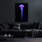 Medusa by Epic Portfolio (16"H x 12"W x 0.13"D)