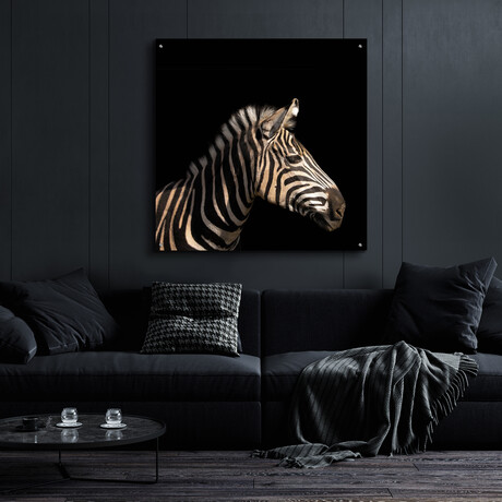 Zebra by Epic Portfolio (12"H x 12"W x 0.13"D)