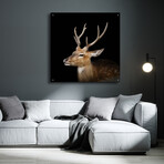 Sika Deer by Epic Portfolio (12"H x 12"W x 0.13"D)