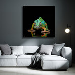 Sneaky Chameleon by Epic Portfolio (12"H x 12"W x 0.13"D)