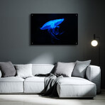 Swan Lake by Epic Portfolio (12"H x 16"W x 0.13"D)