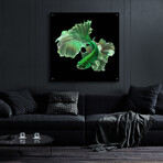 Emerald Fighter by Epic Portfolio (12"H x 12"W x 0.13"D)