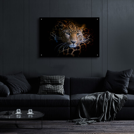 Sleepy Leopard by Epic Portfolio (12"H x 16"W x 0.13"D)