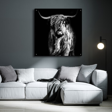 Hippy Highland Cow by Epic Portfolio (12"H x 12"W x 0.13"D)