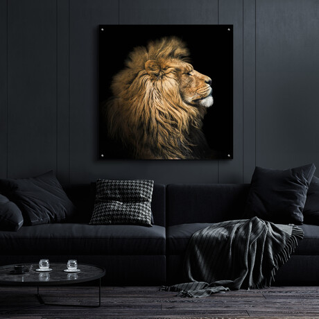 The King Of The Jungle by Epic Portfolio (12"H x 12"W x 0.13"D)