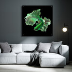 Emerald Fighter by Epic Portfolio (12"H x 12"W x 0.13"D)