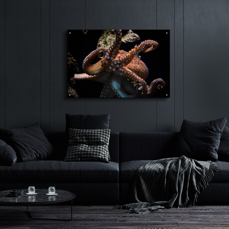 The Kraken by Epic Portfolio (12"H x 16"W x 0.13"D)