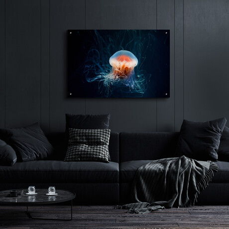 Peachy Jellyfish by Epic Portfolio (12"H x 16"W x 0.13"D)