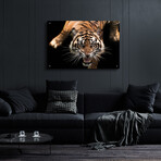 Nice Kitty by Epic Portfolio (12"H x 16"W x 0.13"D)