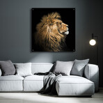 The King Of The Jungle by Epic Portfolio (12"H x 12"W x 0.13"D)