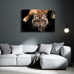 Nice Kitty by Epic Portfolio (12"H x 16"W x 0.13"D)