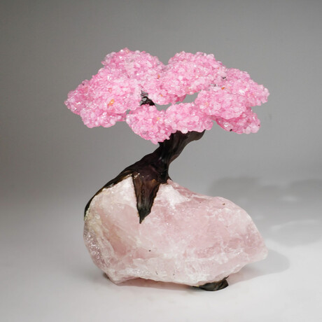 Rose Quartz Gemstone Tree on Rose Quartz Matrix I // The Eternal Love Tree // 9 lb