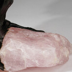 Rose Quartz Gemstone Tree on Rose Quartz II // The Eternal Love Tree // 3.3 lb