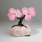 Rose Quartz Gemstone Tree on Rose Quartz II // The Eternal Love Tree // 5.4 lb