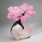 Rose Quartz Gemstone Tree on Rose Quartz Matrix I // The Eternal Love Tree // 9 lb