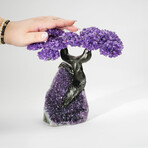 Amethyst Gemstone Tree on Amethyst Matrix // The Protection Tree // 3.1 lb