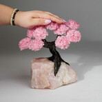 Rose Quartz Gemstone Tree on Rose Quartz II // The Eternal Love Tree // 5.7 lb