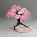 Rose Quartz Gemstone Tree on Rose Quartz II // The Eternal Love Tree // 3.3 lb