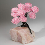 Rose Quartz Gemstone Tree on Rose Quartz II // The Eternal Love Tree // 5.7 lb