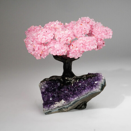 Rose Quartz Gemstone Tree on Amethyst Matrix // The Love Tree // 4.6 lb