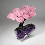 Rose Quartz Gemstone Tree on Amethyst Matrix // The Love Tree // 4.6 lb