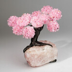 Rose Quartz Gemstone Tree on Rose Quartz II // The Eternal Love Tree // 5.4 lb