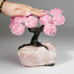 Rose Quartz Gemstone Tree on Rose Quartz II // The Eternal Love Tree // 5.4 lb